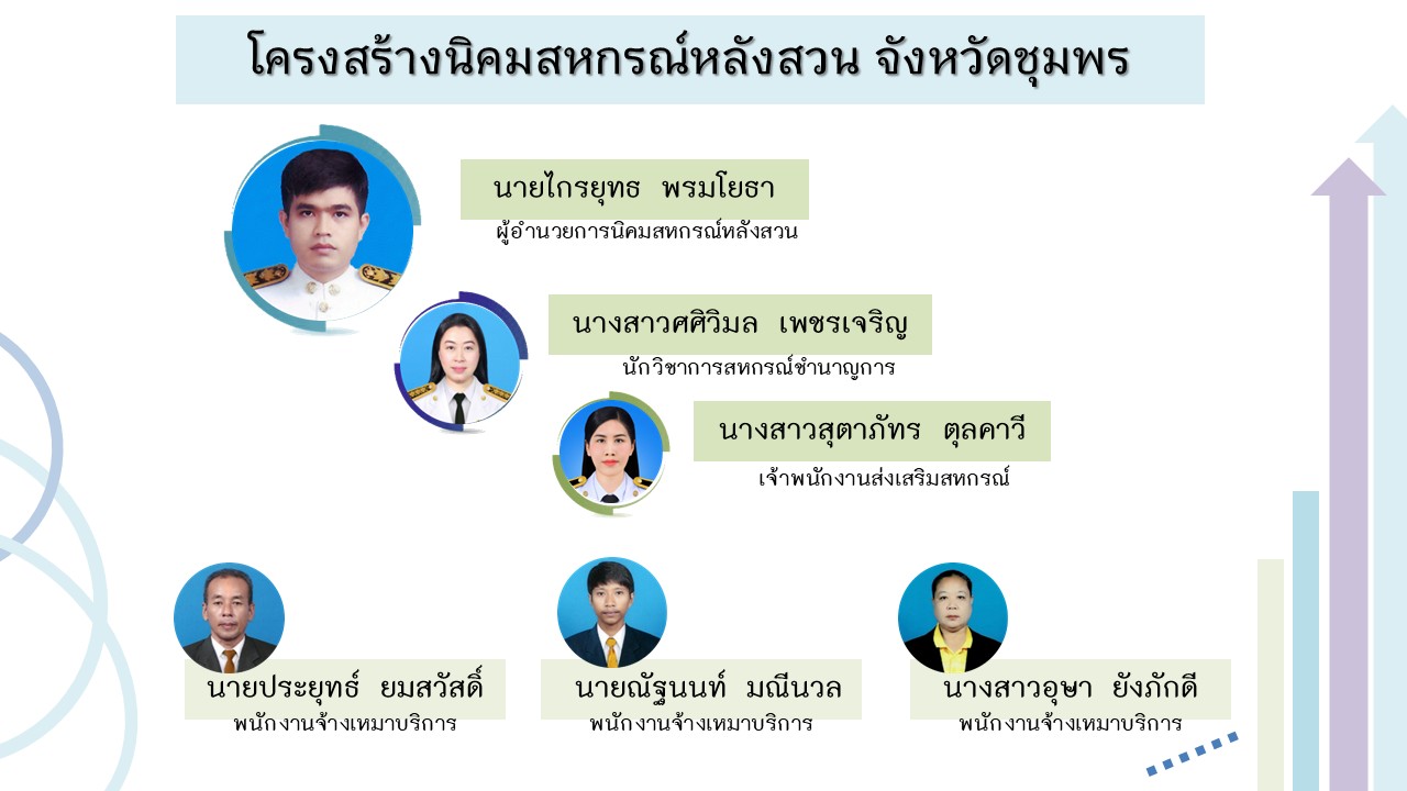 7.ภาพโครงสร้างนิคมสหกรณ์หลังสวน