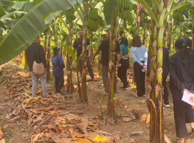 นายจิรศักดิ์ บริบูรณ์ สหกรณ์จังหวัดชุมพร มอบหมายให้ ... พารามิเตอร์รูปภาพ 5