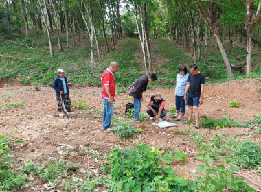 นายจิรศักดิ์ บริบูรณ์ สหกรณ์จังหวัดชุมพร มอบหมายให้นายกฤษฎา ... พารามิเตอร์รูปภาพ 2