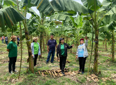 นายจิรศักดิ์ บริบูรณ์ สหกรณ์จังหวัดชุมพร นางณัชกช นามจันทร์ ... พารามิเตอร์รูปภาพ 10