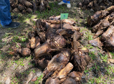 นายจิรศักดิ์ บริบูรณ์ สหกรณ์จังหวัดชุมพร นางณัชกช นามจันทร์ ... พารามิเตอร์รูปภาพ 14