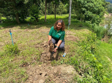 นายจิรศักดิ์ บริบูรณ์ สหกรณ์จังหวัดชุมพร นางณัชกช นามจันทร์ ... พารามิเตอร์รูปภาพ 19