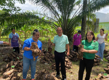 นายจิรศักดิ์ บริบูรณ์ สหกรณ์จังหวัดชุมพร นางณัชกช นามจันทร์ ... พารามิเตอร์รูปภาพ 4