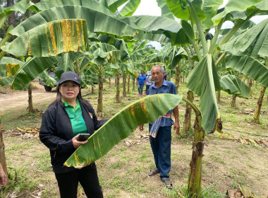 นายจิรศักดิ์ บริบูรณ์ สหกรณ์จังหวัดชุมพร นางณัชกช นามจันทร์ ... พารามิเตอร์รูปภาพ 8