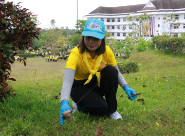 นายจิรศักดิ์ บริบูรณ์ สหกรณ์จังหวัดชุมพร ... พารามิเตอร์รูปภาพ 8