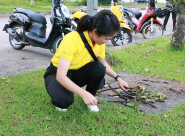 นายจิรศักดิ์ บริบูรณ์ สหกรณ์จังหวัดชุมพร ... พารามิเตอร์รูปภาพ 9