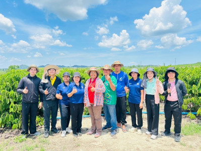 นายจิรศักดิ์ บริบูรณ์ มอบหมายให้นางณัชกช นามจันทร์ ... พารามิเตอร์รูปภาพ 1