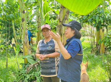 นายจิรศักดิ์ บริบูรณ์ มอบหมายให้นางณัชกช นามจันทร์ ... พารามิเตอร์รูปภาพ 1