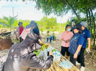 นายจิรศักดิ์ บริบูรณ์ มอบหมายให้นางณัชกช นามจันทร์ ... พารามิเตอร์รูปภาพ 10