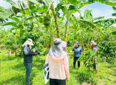 นายจิรศักดิ์ บริบูรณ์ มอบหมายให้นางณัชกช นามจันทร์ ... พารามิเตอร์รูปภาพ 12