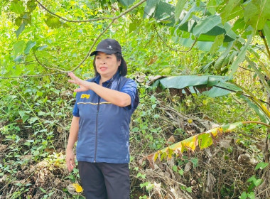 นายจิรศักดิ์ บริบูรณ์ มอบหมายให้นางณัชกช นามจันทร์ ... พารามิเตอร์รูปภาพ 2