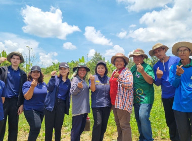 นายจิรศักดิ์ บริบูรณ์ มอบหมายให้นางณัชกช นามจันทร์ ... พารามิเตอร์รูปภาพ 3