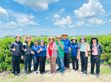 นายจิรศักดิ์ บริบูรณ์ มอบหมายให้นางณัชกช นามจันทร์ ... พารามิเตอร์รูปภาพ 4