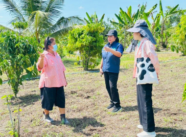 นายจิรศักดิ์ บริบูรณ์ มอบหมายให้นางณัชกช นามจันทร์ ... พารามิเตอร์รูปภาพ 8