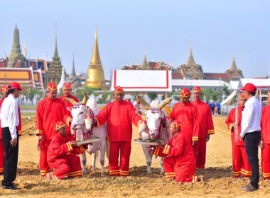 นายนรินทร์ บุตรพรหม ผู้อำนวยการนิคมสหกรณ์ท่าแซะ ... พารามิเตอร์รูปภาพ 11