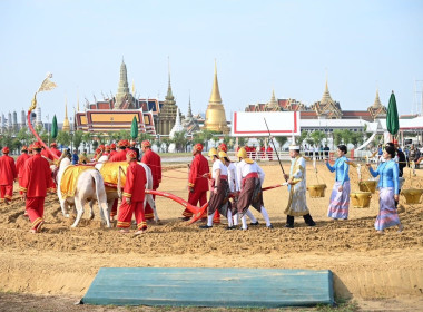 นายนรินทร์ บุตรพรหม ผู้อำนวยการนิคมสหกรณ์ท่าแซะ ... พารามิเตอร์รูปภาพ 13
