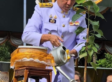 นายจิรศักดิ์ บริบูรณ์ สหกรณ์จังหวัดชุมพร มอบหมายให้ ... พารามิเตอร์รูปภาพ 3