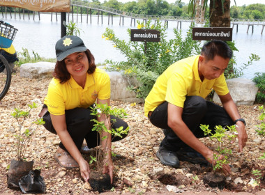 นายจิรศักดิ์ บริบูรณ์ สหกรณ์จังหวัดชุมพร ... พารามิเตอร์รูปภาพ 35
