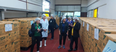 ติดตามสำรวจทรัพย์สินโครงการพัฒนาศักยภาพการผลิตกาแฟของกลุ่มเกษตรกรทำสวนเขาทะลุ ณ กลุ่มเกษตรกรทำสวนเขาทะลุ ตำบลเขาทะลุ อำเภอสวี จังหวัดชุมพร ... พารามิเตอร์รูปภาพ 1