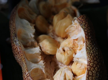 ลงพื้นที่จังหวัดสตูลร่วมกับคณะผู้บริหารกรมส่งเสริมสหกรณ์ พารามิเตอร์รูปภาพ 8