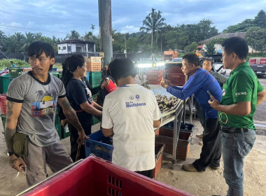 เข้าร่วมสังเกตการณ์การรวบรวมผลผลิตมังคุดคุณภาพจากกลุ่มวิสาหกิจชุมชนมังคุดคุณภาพวังใหม่ เพื่อกระจายผลไม้ในจังหวัดชุมพรไปยังจังหวัดพระนครศรีอยุธยา จำนวน 3 ตัน ณ อาคารอเนกประสงค์เทศบาลตำบลวังใหม่ อำเภอเมือง จังหวัดชุมพร ... พารามิเตอร์รูปภาพ 4