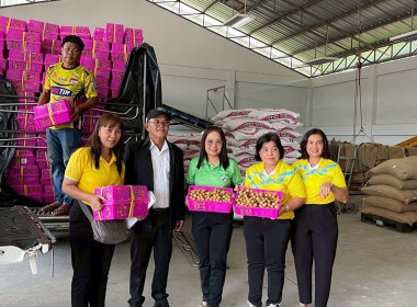 ร่วมกันกระจายผลผลิตลำไยสดจากสหกรณ์การเกษตรจอมทอง จำกัด ... พารามิเตอร์รูปภาพ 9