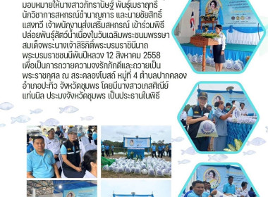 เข้าร่วมพิธีปล่อยพันธุ์สัตว์น้ำเนื่องในวันเฉลิมพระชนมพรรษาสมเด็จพระนางเจ้าสิริกิติ์พระบรมราชินีนาถ พระบรมราชชนนีพันปีหลวง 12 สิงหาคม 2558 ... พารามิเตอร์รูปภาพ 11