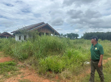 ลงพื้นที่พูดคุยกับกรรมการของสหกรณ์เคหะสถานบ้านมั่นคงมดงานมาบอำมฤต จำกัด ... พารามิเตอร์รูปภาพ 4