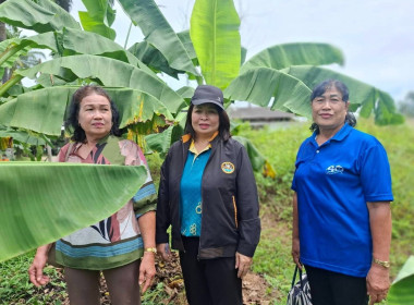 ติดตามผลโครงการขับเคลื่อนปรัชญาของเศรษฐกิจพอเพียงในสหกรณ์และกลุ่มเกษตรกร ประจำปีงบประมาณ พ.ศ.2568 ... พารามิเตอร์รูปภาพ 9
