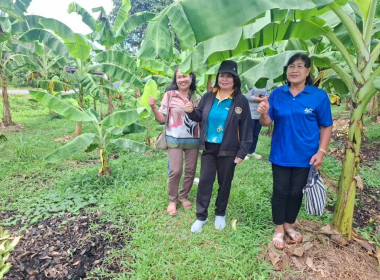 ติดตามผลโครงการขับเคลื่อนปรัชญาของเศรษฐกิจพอเพียงในสหกรณ์และกลุ่มเกษตรกร ประจำปีงบประมาณ พ.ศ.2568 ... พารามิเตอร์รูปภาพ 7