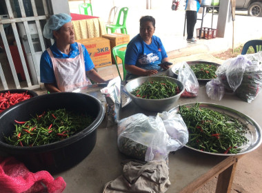 เข้าแนะนำ ส่งเสริม กลุ่มอาชีพผลิตเครื่องแกงบ้านหนองไก่ปิ้ง ... พารามิเตอร์รูปภาพ 4
