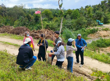 ตรวจสอบพื้นที่ที่มีผู้ยื่นเรื่องขออนุญาตใช้ประโยชน์ในที่ดินในเขตนิคมสหกรณ์หลังสวน ในพื้นที่หมู่ที่ 4 ตำบลหาดยาย หมู่ที่ 4, 18 ตำบลบ้านควน อำเภอหลังสวน จังหวัดชุมพร และพื้นที่หมู่ที่ 3 ตำบลทุ่งคาวัด หมู่ที่ 11 ตำบลละแม อำเภอละแม จังหวัดชุมพร ... พารามิเตอร์รูปภาพ 1