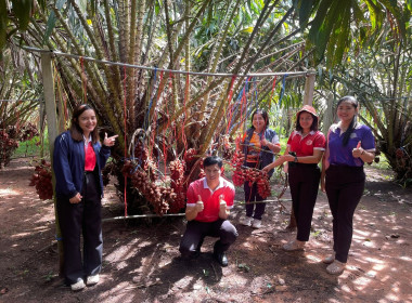เข้าไปประสานงานเข้าดูสถานที่ทำการในทำทุเรียนแช่แข็ง ... พารามิเตอร์รูปภาพ 4