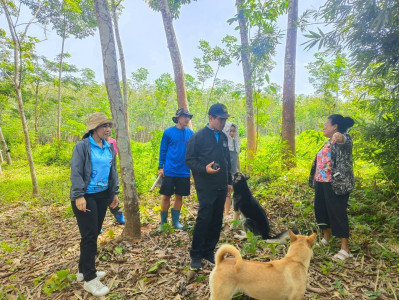 ตรวจสอบแปลงที่ดินที่สมาชิกนิคมสหกรณ์แจ้งความประสงค์ขอออกหนังสืออนุญาตให้เข้าทำประโยชน์ในที่ดินของนิคมสหกรณ์ (กสน.3) ที่ดินตั้งอยู่ หมู่ที่ 8 ตำบลละแม อำเภอละแม จังหวัดชุมพร ... พารามิเตอร์รูปภาพ 1