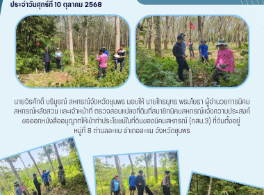 ตรวจสอบแปลงที่ดินที่สมาชิกนิคมสหกรณ์แจ้งความประสงค์ขอออกหนังสืออนุญาตให้เข้าทำประโยชน์ในที่ดินของนิคมสหกรณ์ (กสน.3) ที่ดินตั้งอยู่ หมู่ที่ 8 ตำบลละแม อำเภอละแม จังหวัดชุมพร ... พารามิเตอร์รูปภาพ 6