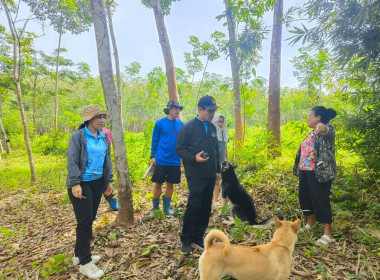 ตรวจสอบแปลงที่ดินที่สมาชิกนิคมสหกรณ์แจ้งความประสงค์ขอออกหนังสืออนุญาตให้เข้าทำประโยชน์ในที่ดินของนิคมสหกรณ์ (กสน.3) ที่ดินตั้งอยู่ หมู่ที่ 8 ตำบลละแม อำเภอละแม จังหวัดชุมพร ... พารามิเตอร์รูปภาพ 1