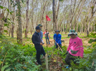 ตรวจสอบแปลงที่ดินที่สมาชิกนิคมสหกรณ์แจ้งความประสงค์ขอออกหนังสืออนุญาตให้เข้าทำประโยชน์ในที่ดินของนิคมสหกรณ์ (กสน.3) ที่ดินตั้งอยู่ หมู่ที่ 8 ตำบลละแม อำเภอละแม จังหวัดชุมพร ... พารามิเตอร์รูปภาพ 2
