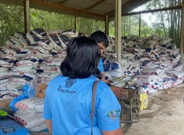 ลงพื้นที่สำรวจสถาบันเกษตรกรที่ประสงค์เข้าร่วมโครงการสร้างมูลค่าเพิ่มจากวัสดุเหลือใช้ทางการเกษตร ประจำปีงบประมาณ พ.ศ. 2569 ณ กลุ่มเกษตรกรทำสวนชุมชนในง่วมบ้านนา อำเภอเมืองชุมพร จังหวัดชุมพร และกลุ่มเกษตรกรทำสวนทุ่งคาวัด อำเภอละแม จังหวัดชุมพร ... พารามิเตอร์รูปภาพ 3