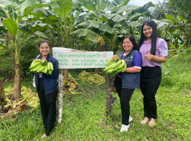 ลงพื้นที่สำรวจสถาบันเกษตรกรที่ประสงค์เข้าร่วมโครงการสร้างมูลค่าเพิ่มจากวัสดุเหลือใช้ทางการเกษตร ประจำปีงบประมาณ พ.ศ. 2569 ณ กลุ่มเกษตรกรทำสวนชุมชนในง่วมบ้านนา อำเภอเมืองชุมพร จังหวัดชุมพร และกลุ่มเกษตรกรทำสวนทุ่งคาวัด อำเภอละแม จังหวัดชุมพร ... พารามิเตอร์รูปภาพ 8