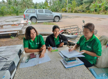 เข้าช่วยเหลือการจัดทำงบการเงินประจำปีสิ้นสุด 30 กันยายน ... พารามิเตอร์รูปภาพ 6