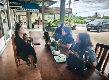ตรวจเยี่ยม แนะนำ ... พารามิเตอร์รูปภาพ 3