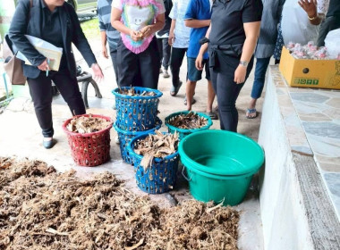 จัดโครงการประชุมเชิงปฏิบัติการเพิ่มประสิทธิภาพการจัดการวัสดุเหลือใช้ทางการเกษตรหรือผลพลอยได้เพื่อสร้างมูลค่าเพิ่ม ประจำปีงบประมาณ พ.ศ.2568 ณ ที่ทำการกลุ่มเกษตรกรทำสวนทุ่งคาวัด ตำบลทุ่งคาวัด อำเภอละแม จังหวัดชุมพร ... พารามิเตอร์รูปภาพ 9