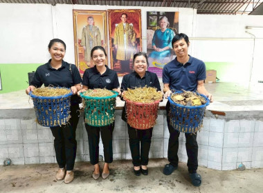 จัดโครงการประชุมเชิงปฏิบัติการเพิ่มประสิทธิภาพการจัดการวัสดุเหลือใช้ทางการเกษตรหรือผลพลอยได้เพื่อสร้างมูลค่าเพิ่ม ประจำปีงบประมาณ พ.ศ.2568 ณ ที่ทำการกลุ่มเกษตรกรทำสวนทุ่งคาวัด ตำบลทุ่งคาวัด อำเภอละแม จังหวัดชุมพร ... พารามิเตอร์รูปภาพ 14