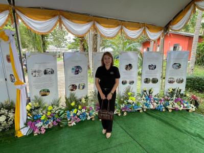 ร่วมงานวันดินโลก ปี 2568 ณ สถานีพัฒนาที่ดินชุมพร ... พารามิเตอร์รูปภาพ 1