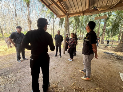 ร่วมการติดตามและตรวจสอบโครงการเพิ่มศักยภาพโคเนื้อเพื่อตอบสนองการตลาด ของวิสาหกิจชุมชนเลี้ยงโคขุนบ้านดอนยาง ณ กลุ่มวิสาหกิจชุมชนเลี้ยงโคขุนบ้านดอนยาง (บ้านลุงเภา) อำเภอปะทิว จังหวัดชุมพร ... พารามิเตอร์รูปภาพ 1