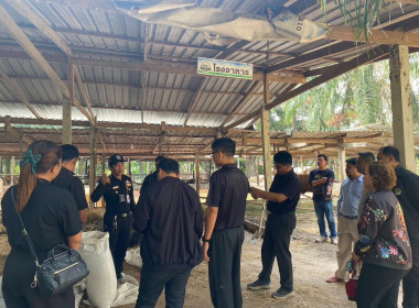 ร่วมการติดตามและตรวจสอบโครงการเพิ่มศักยภาพโคเนื้อเพื่อตอบสนองการตลาด ของวิสาหกิจชุมชนเลี้ยงโคขุนบ้านดอนยาง ณ กลุ่มวิสาหกิจชุมชนเลี้ยงโคขุนบ้านดอนยาง (บ้านลุงเภา) อำเภอปะทิว จังหวัดชุมพร ... พารามิเตอร์รูปภาพ 3