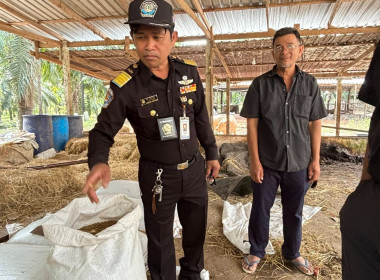 ร่วมการติดตามและตรวจสอบโครงการเพิ่มศักยภาพโคเนื้อเพื่อตอบสนองการตลาด ของวิสาหกิจชุมชนเลี้ยงโคขุนบ้านดอนยาง ณ กลุ่มวิสาหกิจชุมชนเลี้ยงโคขุนบ้านดอนยาง (บ้านลุงเภา) อำเภอปะทิว จังหวัดชุมพร ... พารามิเตอร์รูปภาพ 6