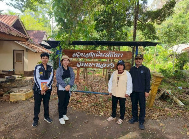 สำรวจและจัดเก็บข้อมูลด้านพันธุ์ไม้ ... พารามิเตอร์รูปภาพ 9