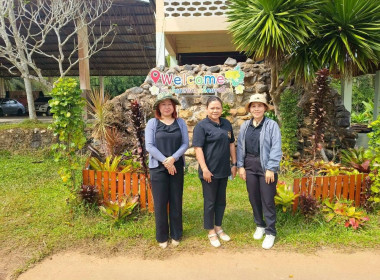 สำรวจและจัดเก็บข้อมูลด้านพันธุ์ไม้ ... พารามิเตอร์รูปภาพ 3