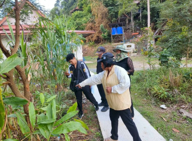 สำรวจและจัดเก็บข้อมูลด้านพันธุ์ไม้ ... พารามิเตอร์รูปภาพ 8